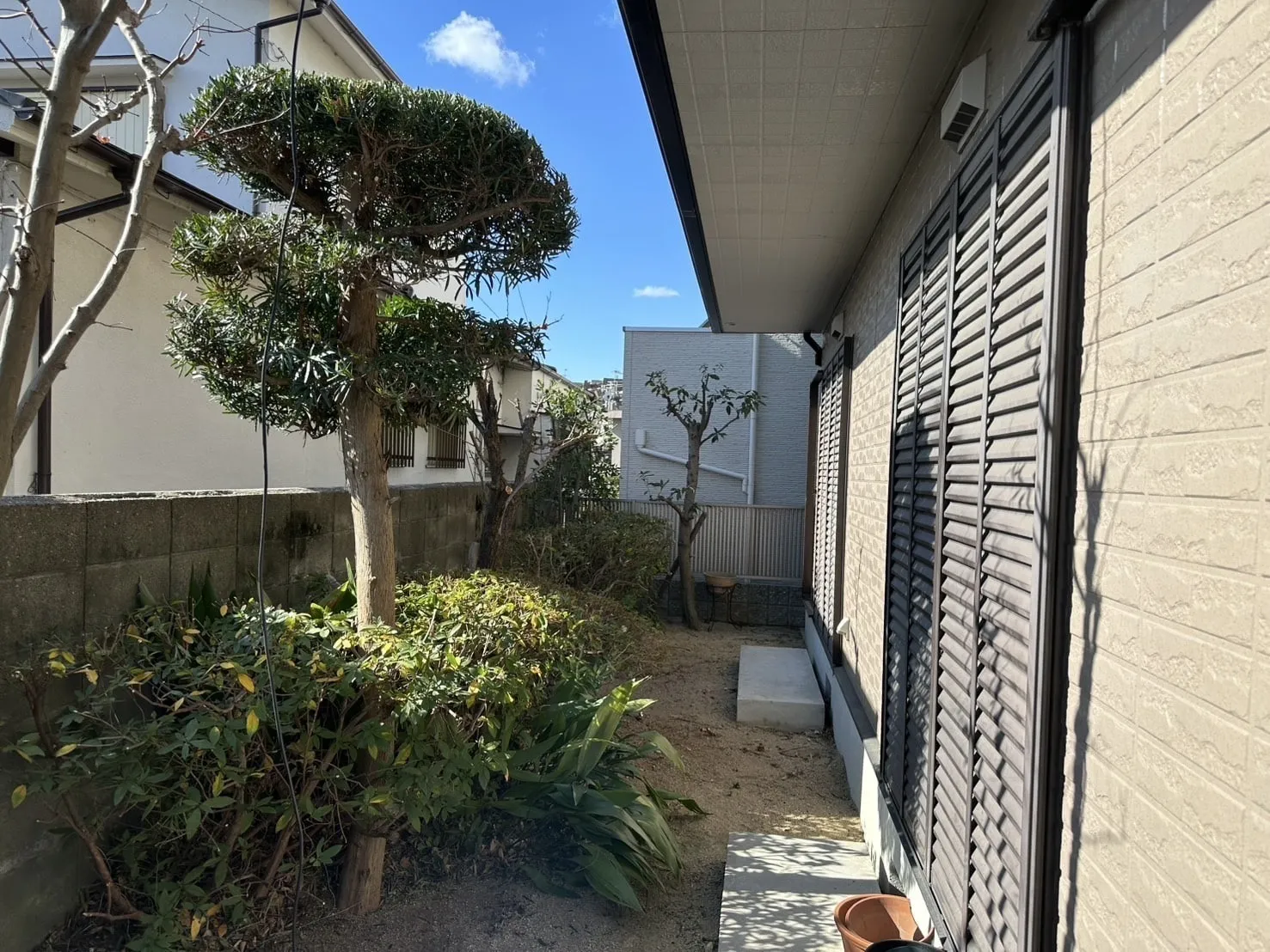 【西宮市内|K様】ヒラドツツジ、マキ、イロハモミジ等の剪定・除草のご依頼