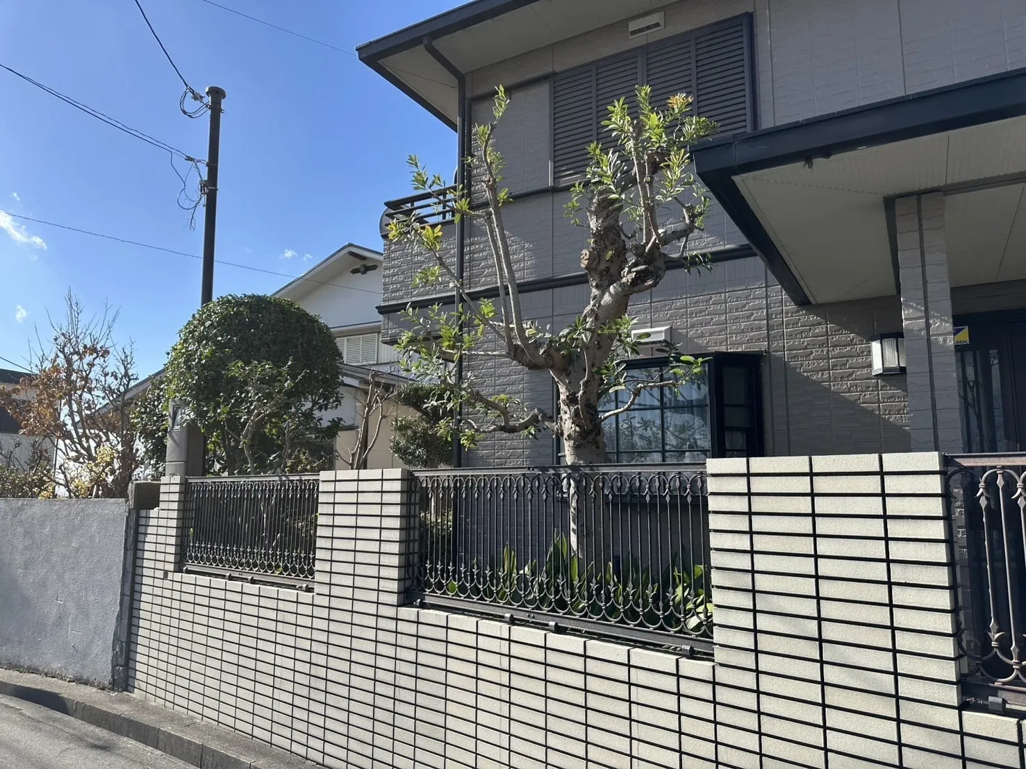 【西宮市内|M様】アラカシ、ゲッケイジュ、ヤマモモ等の剪定・除草のご依頼